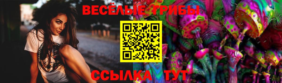 Галлюциногенные грибы мицелий  Вход с VPN  Белогорск 